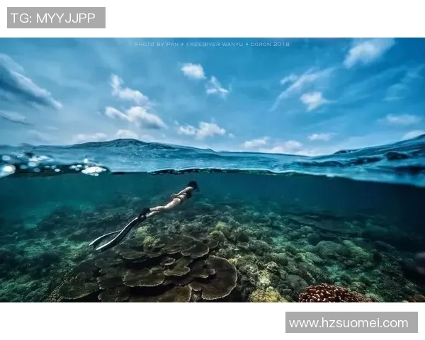 极限运动战术解析：北京极限运动队的创新区域防守策略与实践探讨