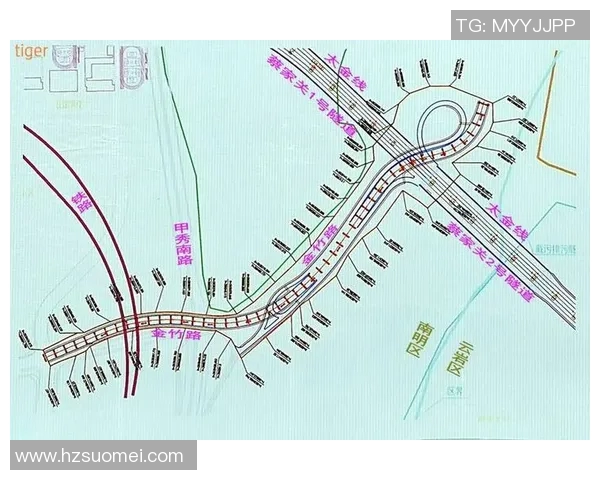 独家解析西安排球队的速度对比与战术影响分析